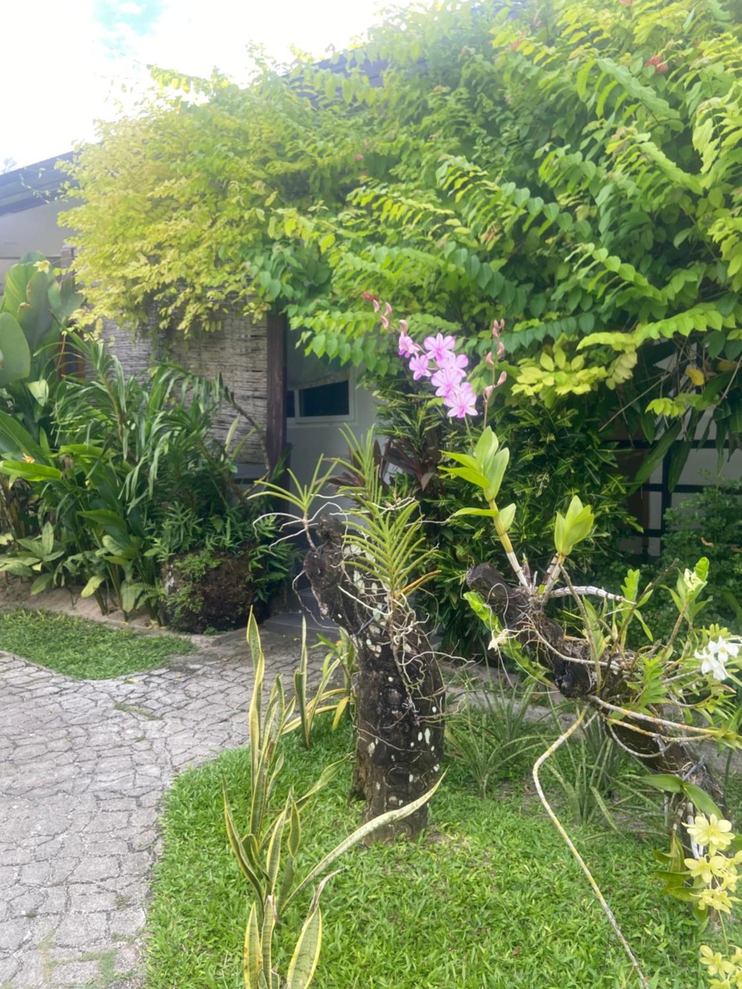 מלון ג'נרל לונה Vivo Siargao מראה חיצוני תמונה